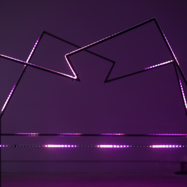 exposicao - Luz e Arte - RedEficiente